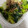 ごめっきー's cooksnap of when they made めんつゆで簡単♪小松菜としめじのおひたし.