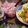 ひっこ's cooksnap of when they made 常備菜・お弁当に！紫玉ねぎの甘酢漬け.