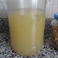 Galletita's cooksnap of when they made ◆りんご酵母液　仕込み（パン）.