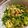 にぶろ's cooksnap of when they made 豆苗の卵炒め.