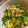 にぶろ's cooksnap of when they made 豆苗の卵炒め.