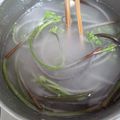 ぶ～すか。's cooksnap of when they made 【重曹無しでもＯＫ♪】わらびのあく抜き.