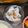 ベンジャミン☆225's cooksnap of when they made 美味しいよ♡れんこんの梅肉酢.