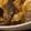 MULA's cooksnap of when they made きくらげ卵炒め.