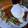 Lain0225's cooksnap of when they made タコライス風♪ひき肉とトマトのさっぱり丼.