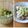ケコハル's cooksnap of when they made ◆ねぎ塩だれ◆～レモン風味でさっぱり～.