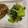 丸尾未知子's cooksnap of when they made 小松菜としめじの炒めナムル QC.