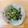 しましま＊ここあ's cooksnap of when they made わらびの和え物.