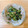 しましま＊ここあ's cooksnap of when they made わらびの和え物.