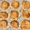 ハルメイ_'s cooksnap of when they made ++カリカリザクザク☆ピーナッツクッキー++.
