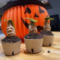 がっちゃん2233's cooksnap of when they made ハロウィン✴︎マンドレイクカップケーキ.