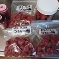 ひっこ's cooksnap of when they made ジップロックで塩分10%簡単梅干し.