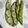 ♬のんのこ日和♬'s cooksnap of when they made 旬を味わうホクホクそら豆.