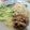 クッキン坊主's cooksnap of when they made 混ぜるだけ 簡単 冷やしラーメン 塩.