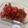 タマリュウ's cooksnap of when they made トマトサラダ🍅Tomato salad.