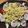13歳's cooksnap of when they made どさんこ直伝！北海道ラーメンサラダ.
