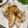 びぃころ's cooksnap of when they made 皮ごと！長芋ステーキ.