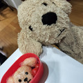 くらら♪☆'s cooksnap of when they made 隠し味でグンと旨い！鮭マヨおにぎり.