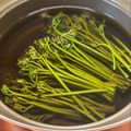コムギ大好き's cooksnap of when they made タンサン重曹でわらびのアク抜き！.