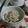 Kayadehutt's cooksnap of when they made ゴーヤのツナサラダ☆.