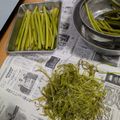 みきんたちゃん's cooksnap of when they made 最初が肝心♪『ふき』の下ごしらえ.