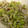 ヨッチこ's cooksnap of when they made 枝豆としらすのおかか和え 幼児食に。.