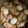クック37V6W1☆'s cooksnap of when they made 🌟[簡単] 手羽元と大根の煮物🥚.