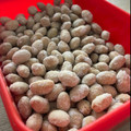 ティンク★'s cooksnap of when they made 余った大豆で 大豆の砂糖衣がけ.