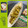 ちゃかぴまま's cooksnap of when they made たけのことじゃがいものバジルソース炒め♪.