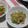 きらり流れ星's cooksnap of when they made 早い安い！旨い！究極の豚バラキャベツ炒め.