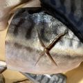 BunnyQ's cooksnap of when they made これが定番！さばの味噌煮【捌き方有】.