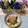 mielle's cooksnap of when they made ほうれん草に大根おろしと鰹節を乗せて♡.