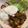 ハングル's cooksnap of when they made 夏野菜のハンバーグライス.