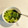 ごーこ♪'s cooksnap of when they made レンチンで決まる♡中華風青梗菜　簡単副菜.