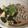 ☆☆ゆーとら☆☆'s cooksnap of when they made 豆腐と納豆で食べる♪蕎麦ランチ♪.