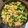 ちゃーりーWKY's cooksnap of when they made 小松菜とベーコン*しめじの卵炒め.