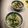 クックOORN8P☆'s cooksnap of when they made レンジで3分！豆苗とエノキの塩昆布和え.