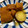 クックNOBO！'s cooksnap of when they made 炊飯器deしっとり♪簡単かぼちゃの煮物.