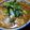 ちくわ君's cooksnap of when they made とろーり♪カレーうどん玉子とじ風.
