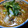 ちくわ君's cooksnap of when they made とろーり♪カレーうどん玉子とじ風.