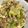 ぽちゃすけ's cooksnap of when they made ロメインレタスと豚肉、ナッツの卵炒め.