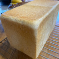 ポチゴロ's cooksnap of when they made 天然酵母で毎日のふわふわパン(中種法）.