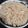ゆるмαмα's cooksnap of when they made 白だしで簡単！まいたけの炊き込みごはん.