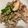 関口浩二's cooksnap of when they made 豚肉としいたけの炒めもの.