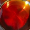 パンダスター's cooksnap of when they made 超簡単☆自家製めんつゆ.