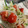 ゆりはるみ♡'s cooksnap of when they made もやしときゅうりとトマトの中華風サラダ.