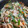 ohykr's cooksnap of when they made 豚バラとにらモヤシのとろみ炒め♪.