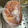 猫田課長's cooksnap of when they made 鶏むね肉 基本の下処理 しっとりマリネ.