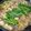 ひぃたろぉ～♪'s cooksnap of when they made 簡単！醤油スープもつ鍋！.