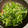 クックJOX7MA☆'s cooksnap of when they made 京みぶなの中華炒め.